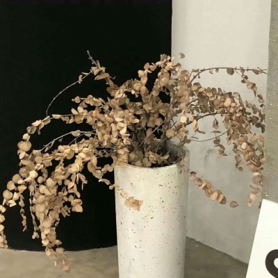 Furry绘画动态技巧福瑞交流群